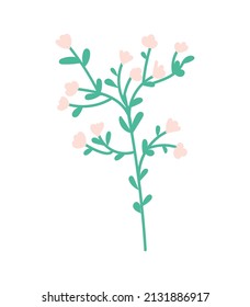 Twig con inflorescencias y hojas para el diseño. Hola primavera. Hermosa rama con flores para tarjetas de felicitación, afiches, tarjetas, pegatinas, decoraciones. Ilustración del vector sobre fondo blanco aislado