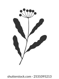 Twig with leaf and berry, silhouette branch hand drawn, doodle element design on white background. Vector illustration