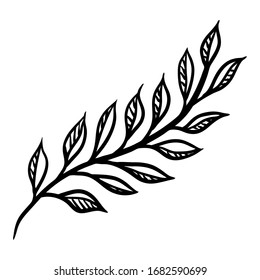 Twig with leaf silhouette stylized for decoration design. Floral ornament. Hand drawn vector natural illustration.