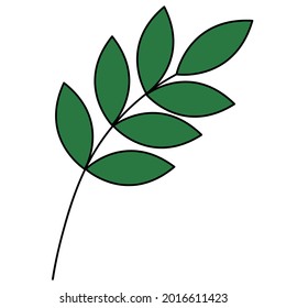 Twig with leaves. Colored vector illustration. Green plant. Leaves on the stem. Cartoon style. Isolated white background. Idea for web design.