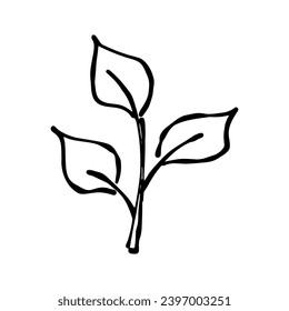 Twig with leaves hand drawn in a minimalist style. Sketch of a branch isolated on a white background. Decorative element. Vector illustration.