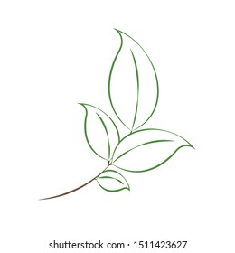 Twig with leaves icon vector. Green leaves line icon. Ecology symbol. Eco icon illustration isolated on background