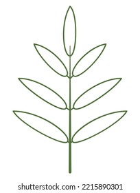 Twig with leaves. One branch, symmetrical shape, outline flat style. Green color. Straight branch, contour leaves. Useful for creating vector brushes. Flower icon isolated on transparent background.