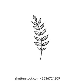 Twig with leaves sketch. Vector graphic line illustration, hand drawn isolated. Black and white doodle of foliage. Forest and park plant, nature concept. Clipart for logo, postcard, sticker, wrapping.