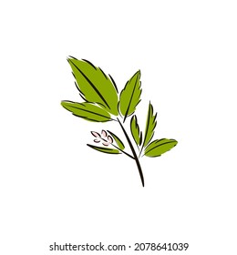 Twig and leaves, small flowers. Simple linear contour drawing and colored spots. Doodle simple style. Vector illustration of an element for your botanical design isolated on a white background.