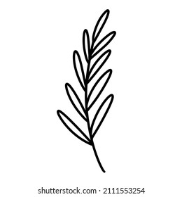Twig with leaves vector icon. Hand drawn illustration isolated on white backdrop. Branch outline with oval leaves, botanical sketch. Concept for decoration, web design, cosmetics, cards, print