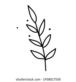 Twig with leaves. Vector illustration in a cute doodle style is perfect for postcards, social media design or for a flower shop. Line art