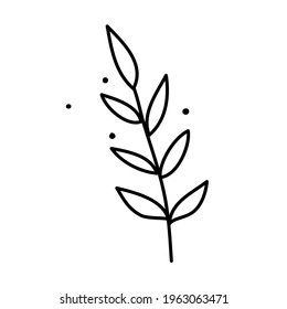 Twig with leaves. Vector illustration in a cute doodle style is perfect for postcards, social media design or for a flower shop. Line art