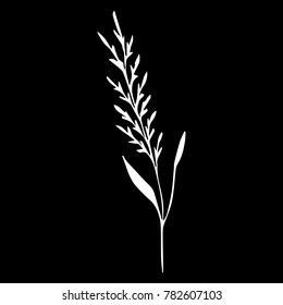 A twig with leaves vector illustration. Doodle style. Design, print, decor, textile, paper