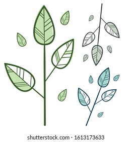 
twig and leaves. vector illustration. Isolated on a white background. Can be used for cards, logos, website design, wedding design, fabric.