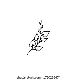 Twig with leaves-Doodle style. Vector isolated illustration with a plant. Nature. Printing on paper, fabrics, dishes, posters. Branch on a white background. Leaves are a separate element. Hand drawing