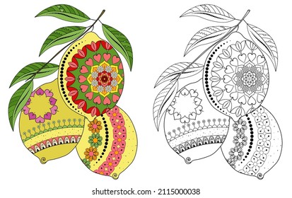 A twig with lemons and leaves on a white background. Decorative element with a doodle pattern. Anti-stress coloring book for adults and children.