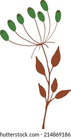 A twig with light brown leaves and green berries. Vector graphics are useful for creating designs.