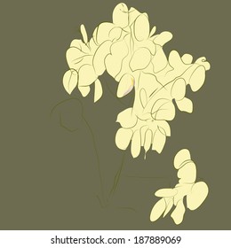 Twig Phoebe on dark ocher background. Hand-drawing.
