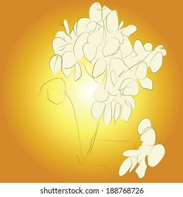 Twig Phoebe on light radiance ocher background. Hand-drawing.