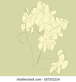 Twig Phoebe on ocher background. Hand-drawing.