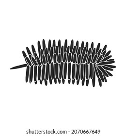 Twig pine isolated black icon. Vector illustration spruce twig pine on white background. Vector black illustration icon tree conifer.