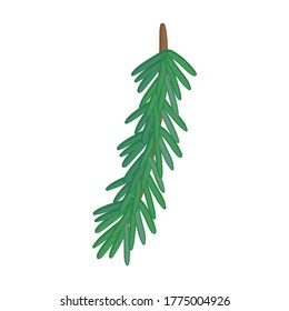 Twig pine isolated cartoon icon. Vector illustration spruce twig pine on white background. Vector cartoon illustration icon tree conifer.