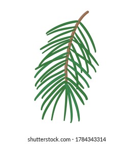 Twig pine isolated cartoon icon. Vector illustration spruce twig pine on white background. Vector cartoon illustration icon tree conifer.