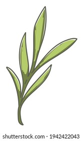 Twig of plant or bush, isolated botanical decoration, environment and growth. Decorative floral, ornamental house plant. Minimalist adornment for eco package or production. Vector in flat style