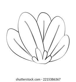 A twig of a plant and a flower with a thin line. Vector on a white background