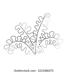 A twig of a plant and a flower with a thin line. Vector on a white background