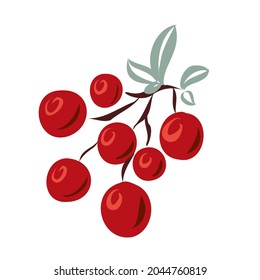 Twig with red berries for design.