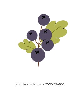 Twig ripe berries. Forest berries, currants. Healthy food. Flat illustration on white background.