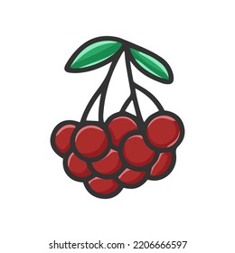Twig with rowan berries and leaves cartoon clipart. Red berries bunch for New Year and Christmas design. Hand drawn berries isolated vector illustration