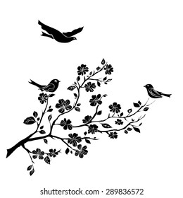 twig sakura blossoms and birds. Vector illustration. Black Silhouette