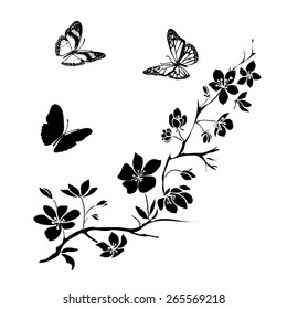 twig sakura blossoms and butterflies. Vector illustration