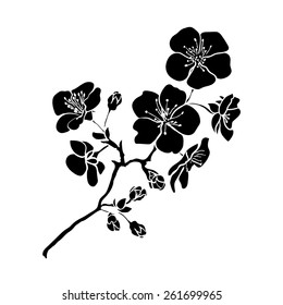 twig sakura blossoms. Vector illustration. Black outline