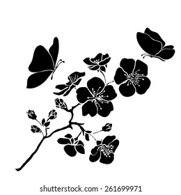 el sakura de ramón florece. Ilustración vectorial. Esquema negro