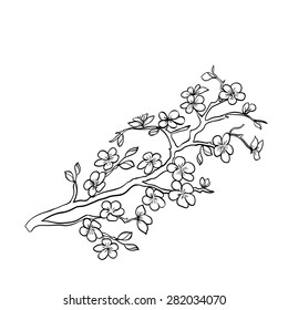 twig sakura blossoms. Vector illustration. Black outline