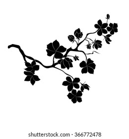 twig sakura blossoms. Vector illustration. Black Silhouette