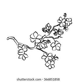 twig sakura blossoms. Vector illustration. Black outline