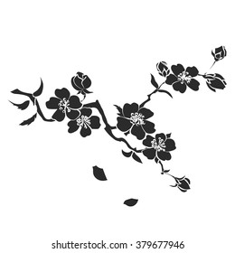 Zweige Sakura blüht. Vektorillustration. Schwarze Silhouette