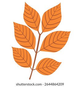 A twig of six yellow leaves on a brown stem on a white background. Hand-drawn botanical plants in a vector.
