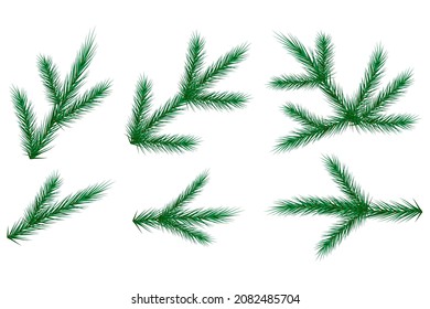 Fichtenholz. Realistisches Design. Baumzweig. Grüne Silhouette. Evergreen Symbol. Vektorgrafik. Stockbild. 
