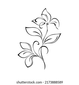 Twig Stylized Blooming Flowers Leaves Graphic Stock Vector (Royalty ...