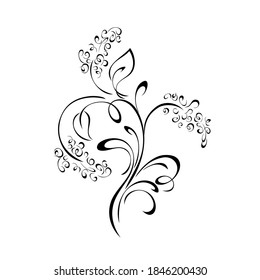 twig with stylized flowers, leaves, and swirls in black lines on a white background