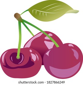 A twig with three cherries and a green leaf. Color image of food. Vector illustration isolated on white background.