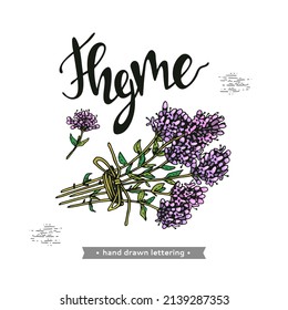 Twig of thyme with leaves and flowers  and lettering Thyme. Detailed hand-drawn sketches, vector botanical illustration.