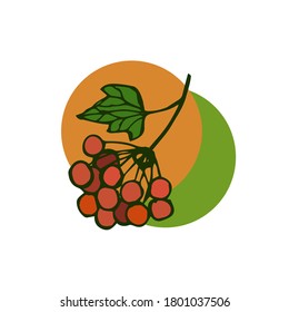 Twig de viburnum. Ilustración vectorial en estilo doodle aislada en un fondo blanco.