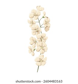 A twig with white flowers on a white background. Flowers for decoration. Vector.