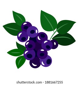 Bayas salvajes azules. Arándanos, fresas, grosellas. Ilustración vectorial plana. La dieta de caricias. Frescas bayas de invierno. Bayas árticas polares. Flora del norte.