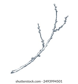 Twig wreath leafless. Botanical hand drawn Isolated vector illustration. Tree dry branch sketch template for card design Christmas invitation, poster, holiday decor. Engraving style