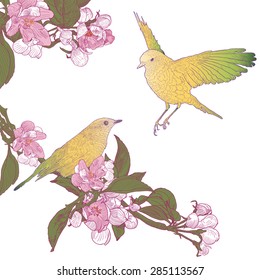 Twigs of Blooming Pink Apple Tree and Two Yellow Bird Sitting on Twigs. Colorful l Vector Illustration. Hand drawn botanical style.