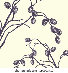 Twigs with cones. Hand draw vector illustration on white background.