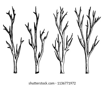 twigs drawing of a handmade monochrome vector. isolated
